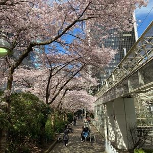 Meet your Posher, Haiying